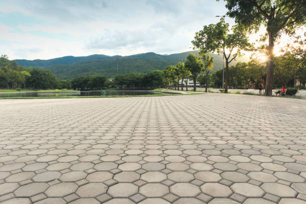 Best Commercial Driveway Pavers  in Camp Springs, MD